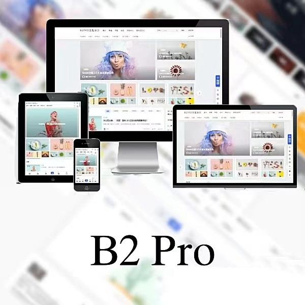 WordPress B2 Pro 主题5.2.0最新版本，欢乐版，包含官方包体和授权文件